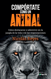https://www.amazon.com/s?k=+Nicol%C3%A1s+Reyes