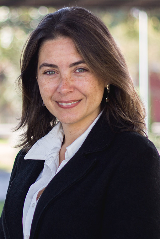 Security, organized crime, and democratic governance