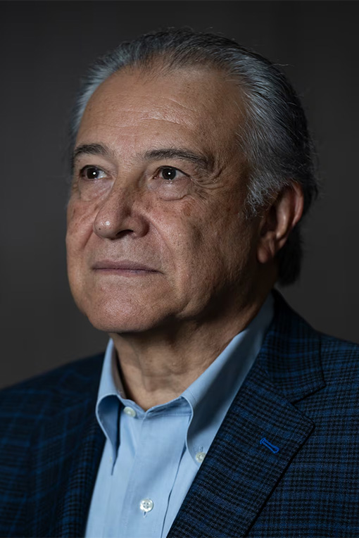 Security, organized crime, and democratic governance