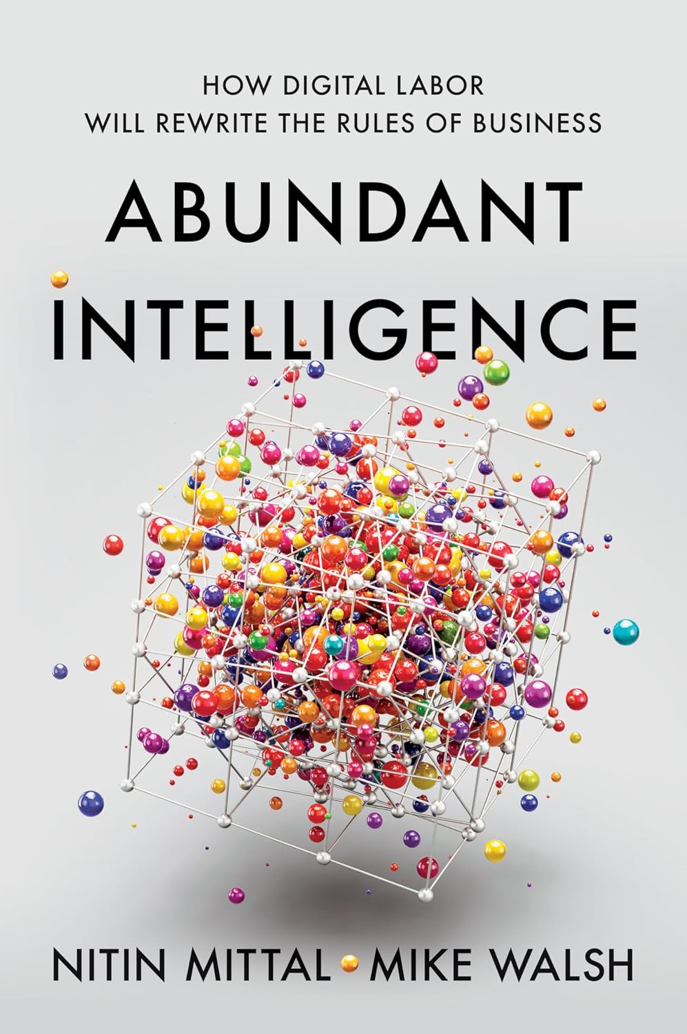 https://www.amazon.com/Abundant-Intelligence-Digital-Rewrite-Business/dp/B0GD6131S7/